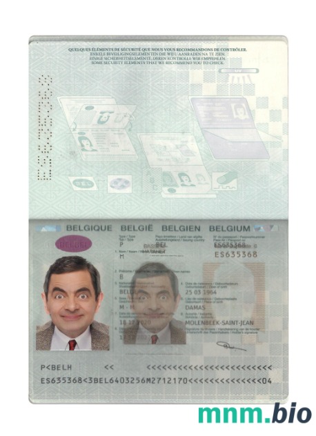Paszport belgijski 2020-obecnie, szablon w formacie PSD